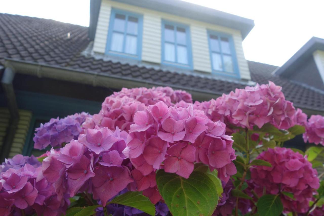 Meerzeit Sankt Peter-Ording Exterior foto